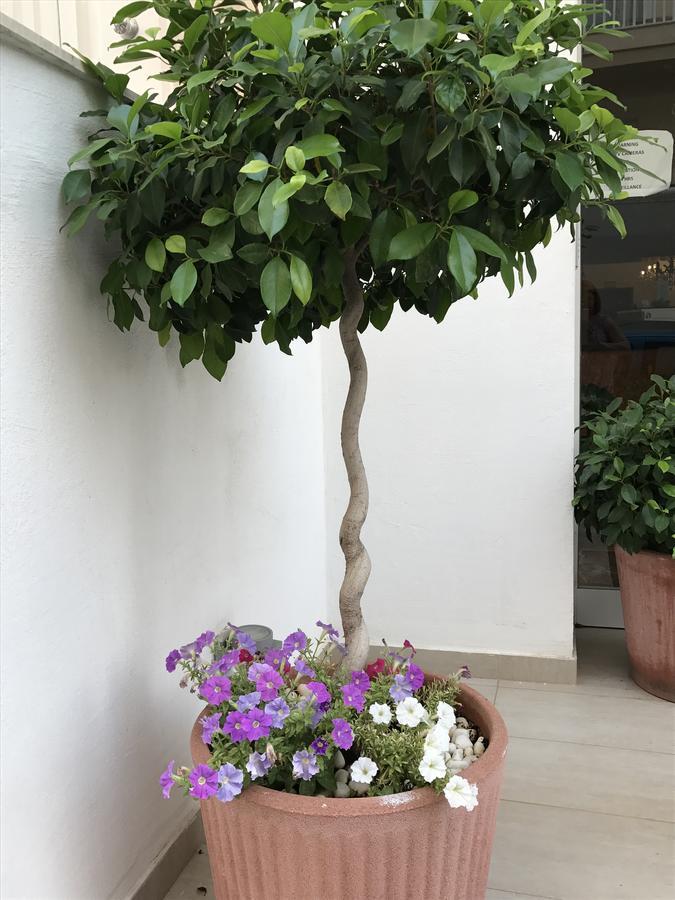 Slimiza Suites Sliema Luaran gambar